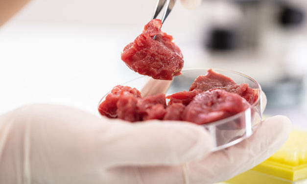 Techniki obróbki gwarantujące wysoką jakość produktów w przemyśle mięsnym priorytetem na 2019 rok